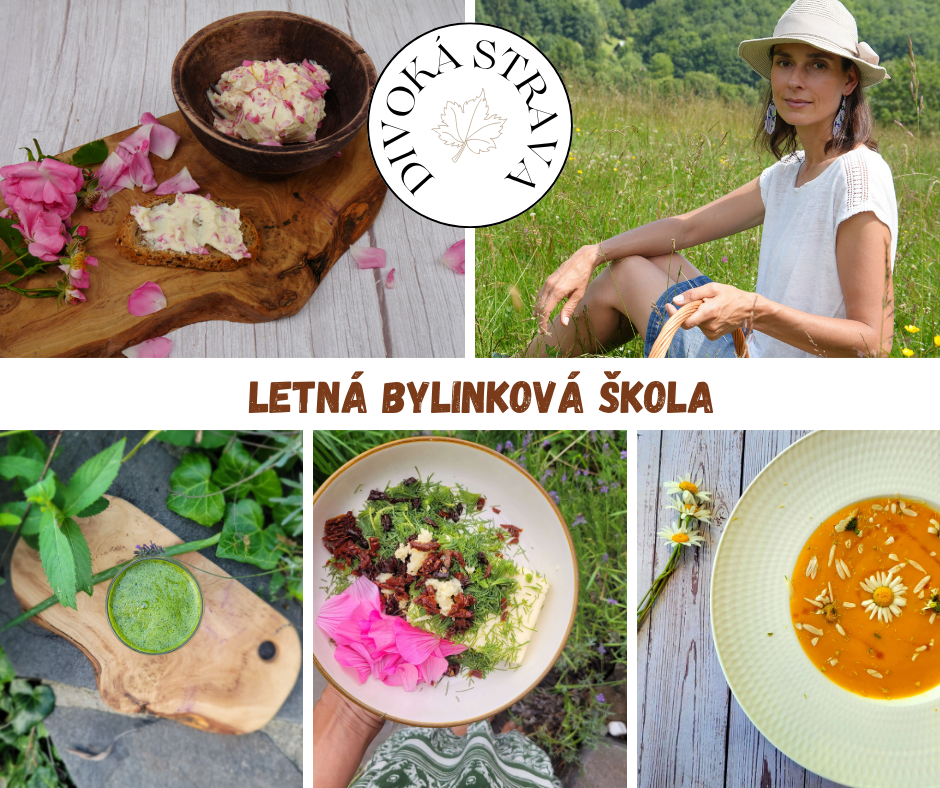 37 plnohodnotných videí o letných bylinách – ako ich rozpoznať, zbierať, spracovať a liečivo využiť + množstvo bonusov